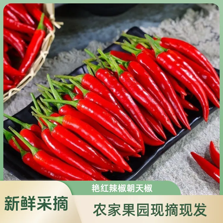 京东直达新鲜现摘高辣小米辣可用于餐饮调味的红辣椒炒菜必备蔬菜