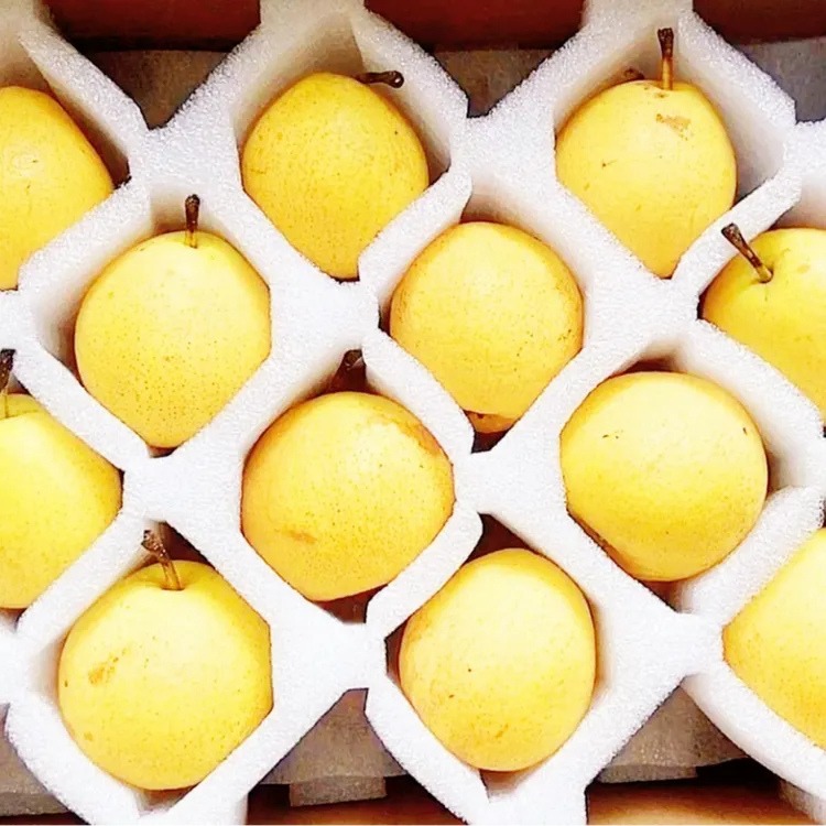 【坏果包赔】辽宁特产 海城正宗南果梨 放软吃 4-4.5斤