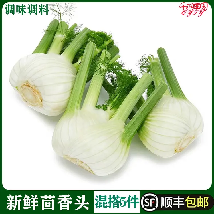新鲜茴香头500g 香料菜西餐食材配料调料用品 球茎味浓茴香菜蔬菜
