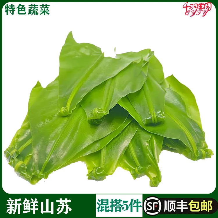 新鲜台湾山苏菜鸟巢蕨野菜王西餐酒店特色菜台湾食用山苏叶发顺丰