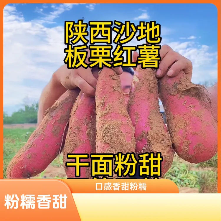 陕西沙地蜜薯板栗红薯地瓜香薯红芋农家自种现挖红皮黄心红薯番薯
