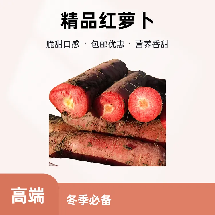陕西冬季种植营养香甜生吃红水果萝卜脆甜皆宜5斤9包邮秋冬尝鲜