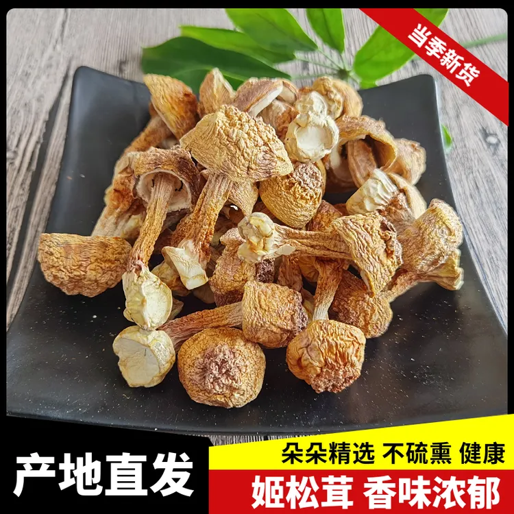 云南野生姬松茸干货100g 巴西蘑菇牛肝菌松茸包邮云南特产 野生菌