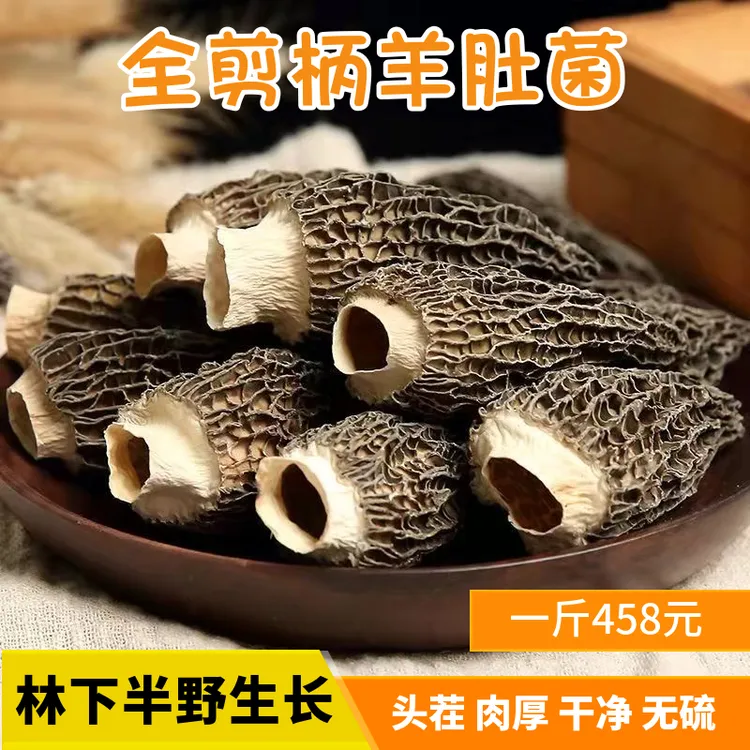 现货头茬全剪柄羊肚菌干货半野林下生长云南特产非大棚