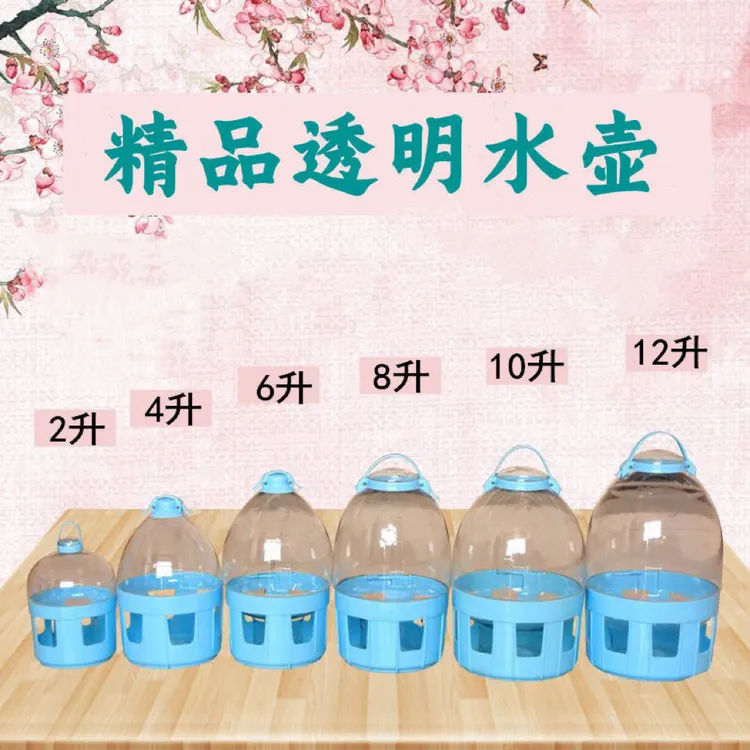 鸽子水壶饮水器喂水器 水壶鸟用喝水器 信鸽赛鸽水槽鸽子用品鸽具