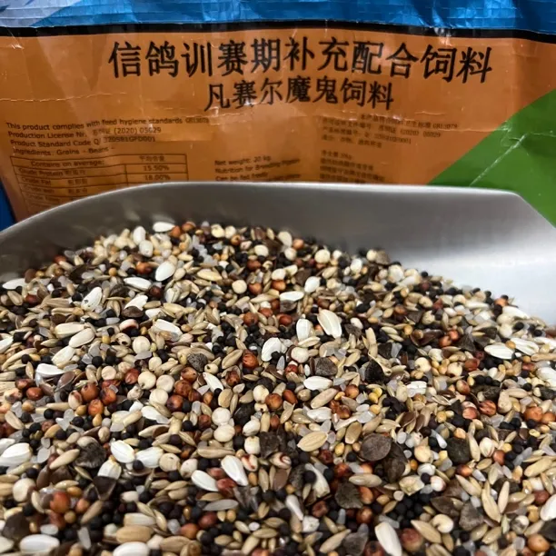 凡赛尔魔鬼饲料鸽子