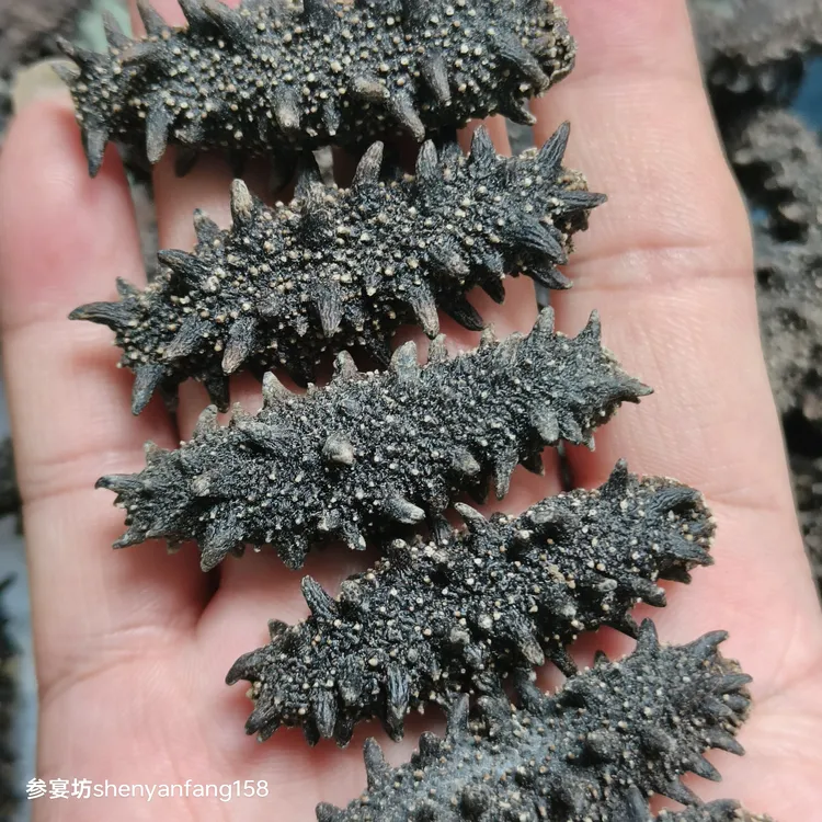 纯野生俄罗斯40-50米深水红参