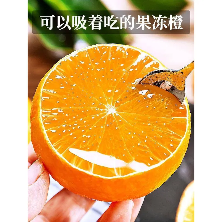 云南爱媛38号果冻橙新鲜当季孕妇水果现摘柑橘产地直发坏果包赔