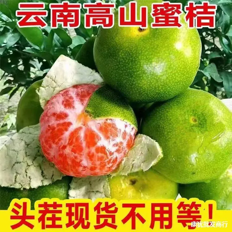 正宗云南高原蜜桔新鲜水果桔子酸甜可口柑橘橘子坏果包赔产地直发