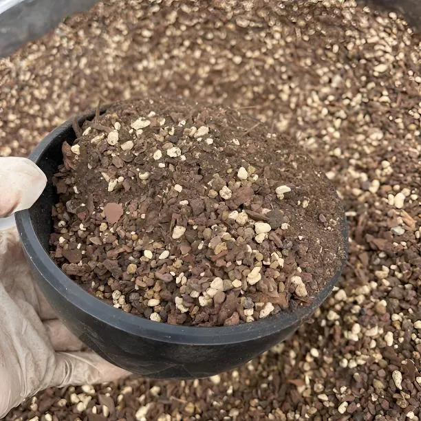 多肉营养土颗粒专用土壤种植栽培土养花通用型泥炭植物花土铺面石