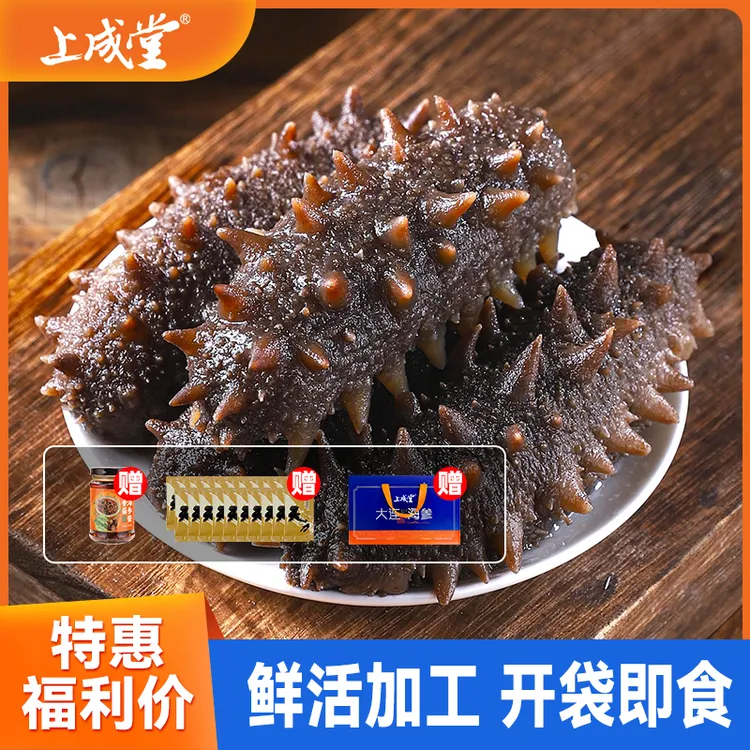 上成堂即食海参顺风包邮开袋即食口感筋道15-17头/斤