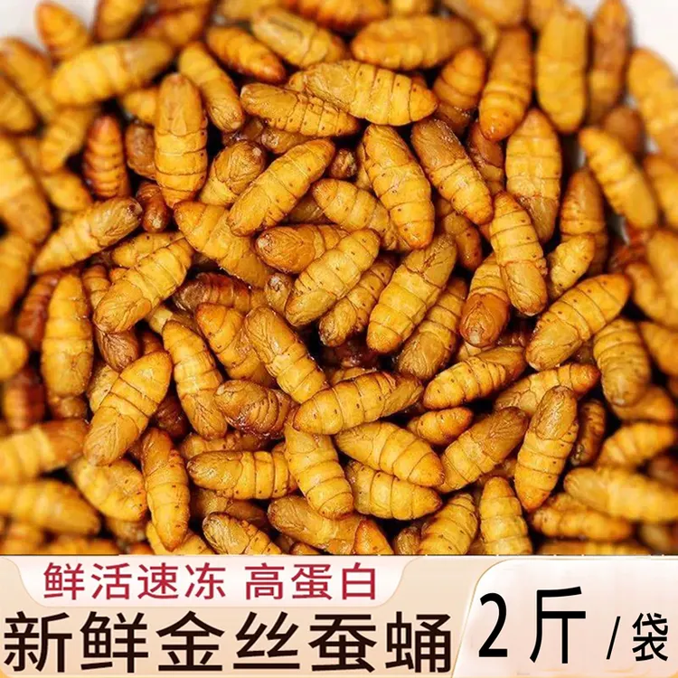 2-4斤金丝蛹健康丰富烹饪冷冻锁鲜烧烤美味油炸速冻五香活体蚕蛹