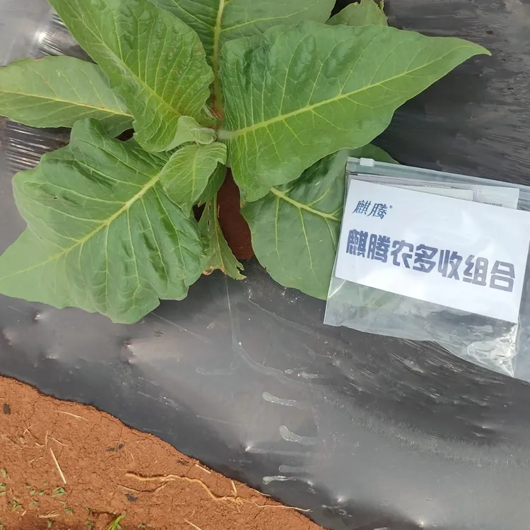 麒腾农多收组合  