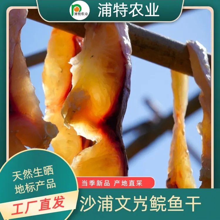 浦特农业 肇庆沙浦文㞧鲩鱼干 450g（鱼腩)