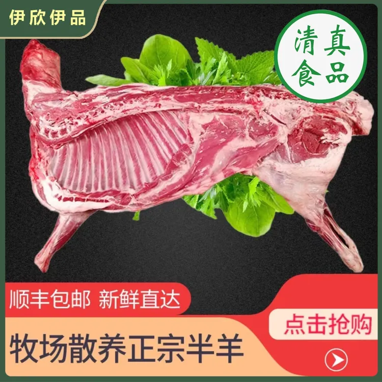 伊欣伊品甘肃贡羊4月龄羔羊半只羊/整只羊新鲜空运冷链包邮