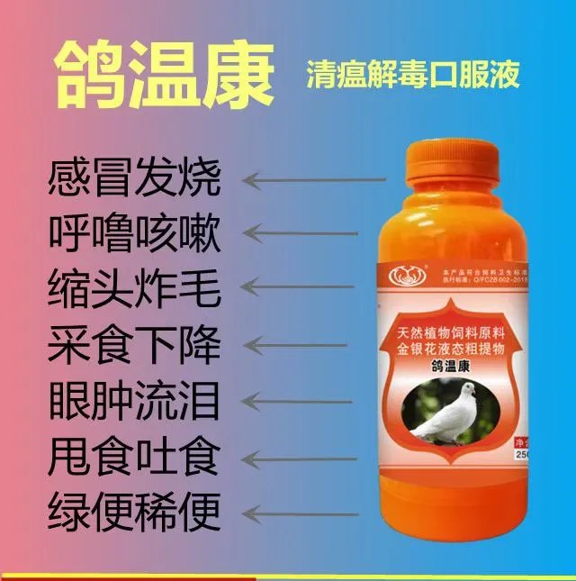 鸽温康:鸽子鸟类鹦鹉缩头炸毛，打蔫没精神浠水便，一瓶250毫升！ 