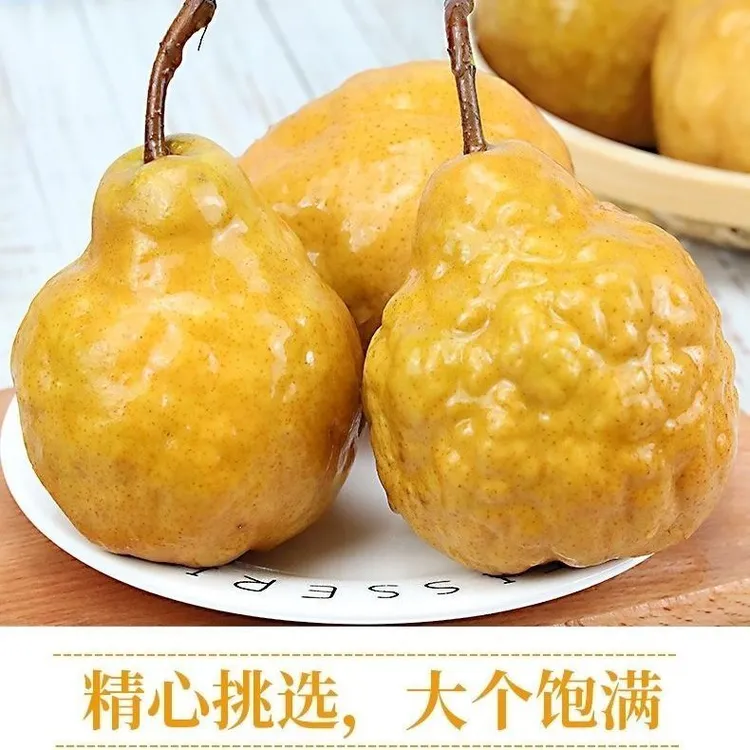 丑梨正宗山东烟台丑梨软糯香甜多汁好吃(梨子)大丑梨新鲜水果批发