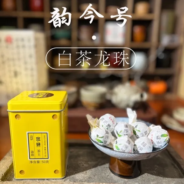 【韵今号】2023韵今号头春品鉴白茶龙珠茶品牌