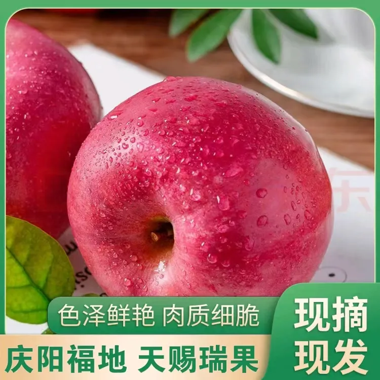 高原红富士甘肃庆阳苹果水果新鲜应当季整箱冰糖心脆甜产地直发