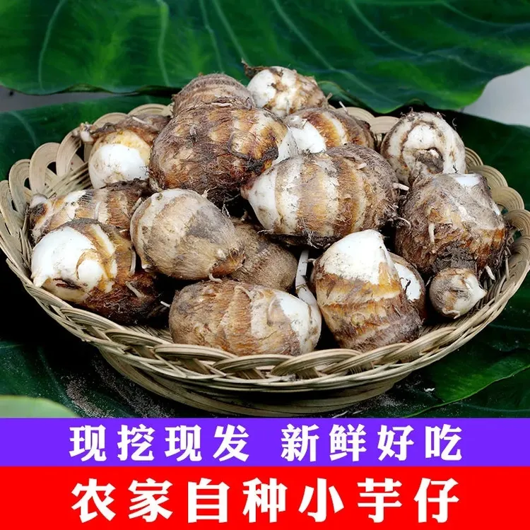 湖北农家芋头现挖芋仔小芋仔新鲜蔬菜毛芋头3/5斤粉糯芋艿香芋头