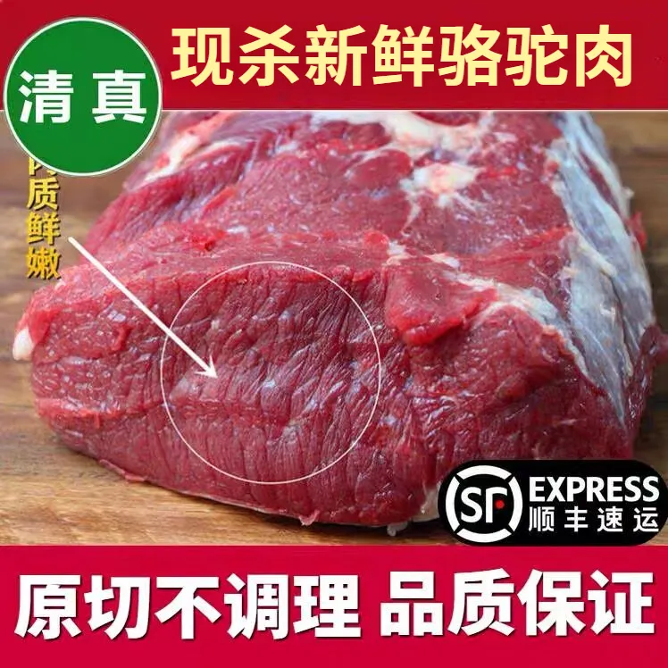 内蒙新鲜骆驼肉自然散养驼肉腿肉生肉冷链包邮鲜香骆驼肉红烧精选