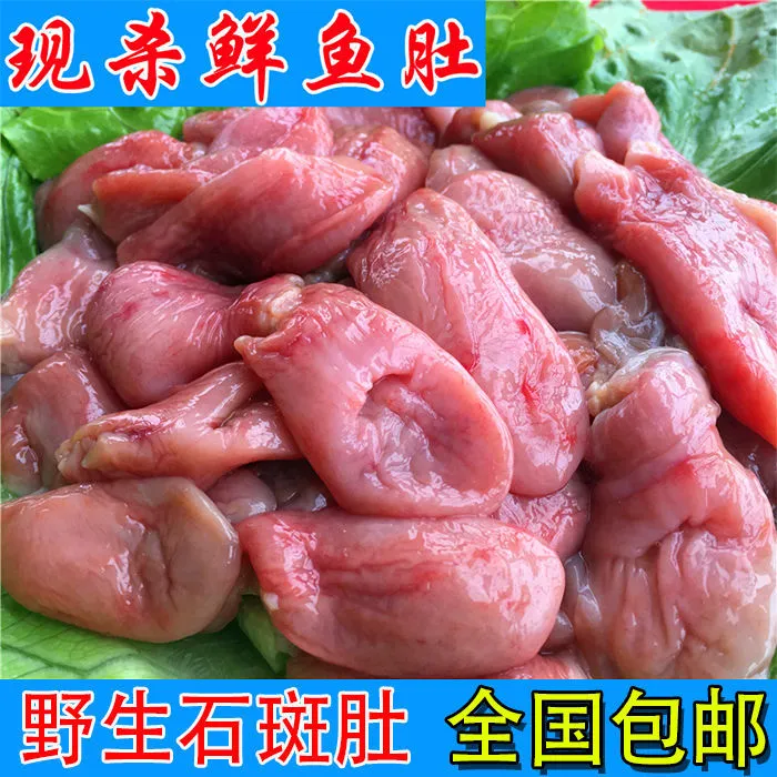 新鲜石斑鱼肚青斑红斑自然鱼肚鱼泡鱼鳔冷冻鱼胶花胶肉盒装爽口