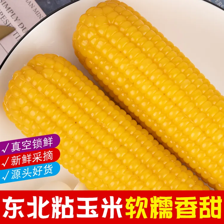 地头五斤半2025东北玉米计量称重不论支