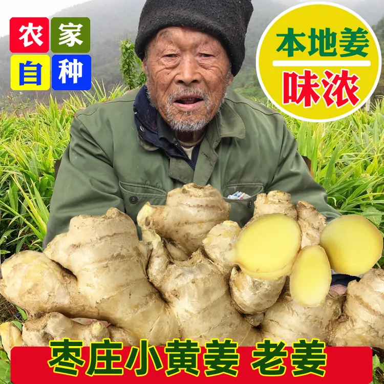枣庄本地小黄姜3斤装农家自种老姜笨小黄姜味浓山东老姜沙窖土姜