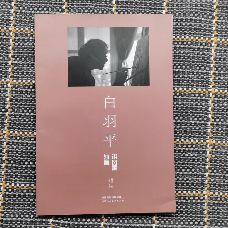 白羽平讲油画风景绘画基础理论构图写生色彩细节出版