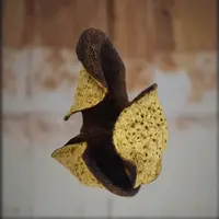 柑源匯2017东甲大滘皮陈皮正宗干仓新会陈皮陈香回甘中秋季