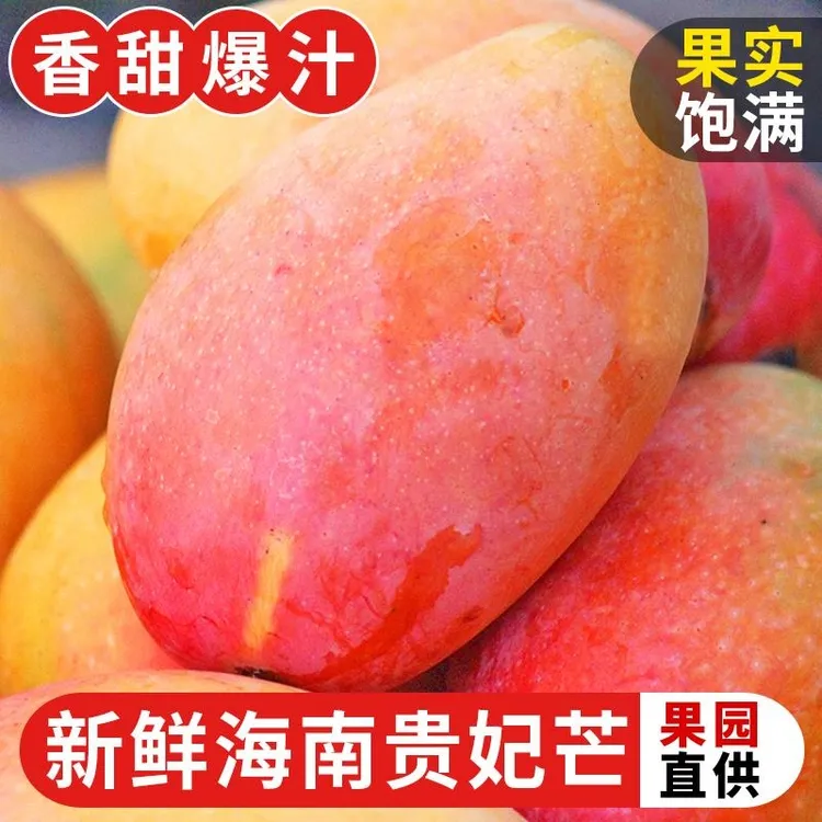 海南贵妃芒芒果新鲜礼盒整箱水果包邮当季树上熟红金龙大辣椒台芒