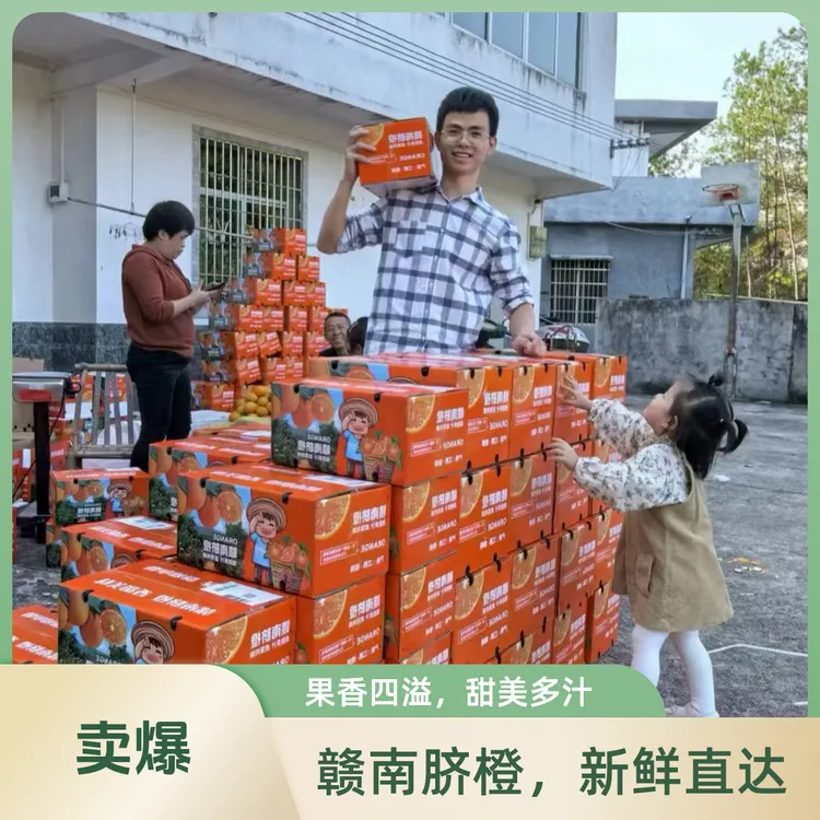24号采摘顺丰到家正宗赣南脐橙江西自家果园现摘现发橙子产地直发