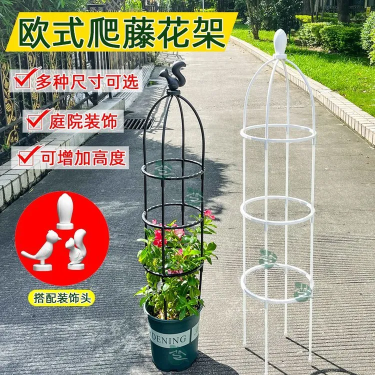 花架爬藤架子铁线莲月季花支架花盆植物攀爬支架室内山乌龟支撑杆