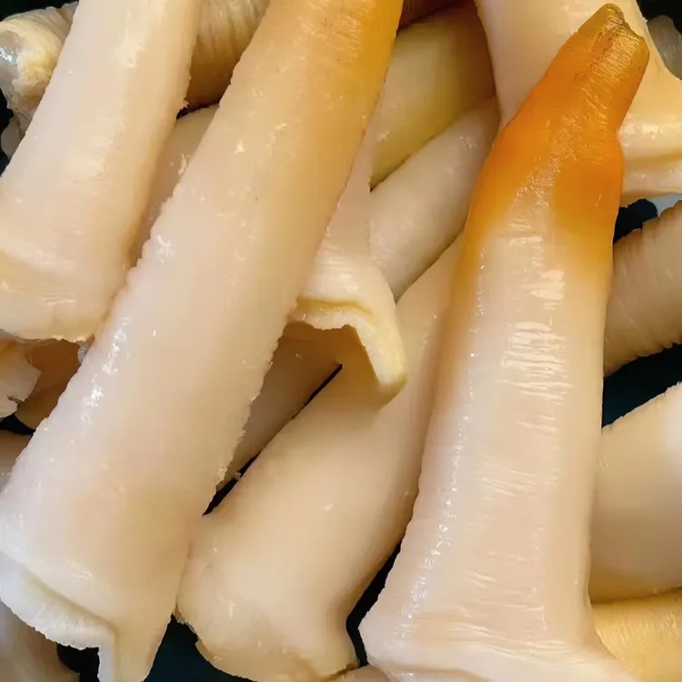 特产鲜冻象拔蚌 呛拌象拔蚌礼盒象牙蚌刺身品质顺丰包邮