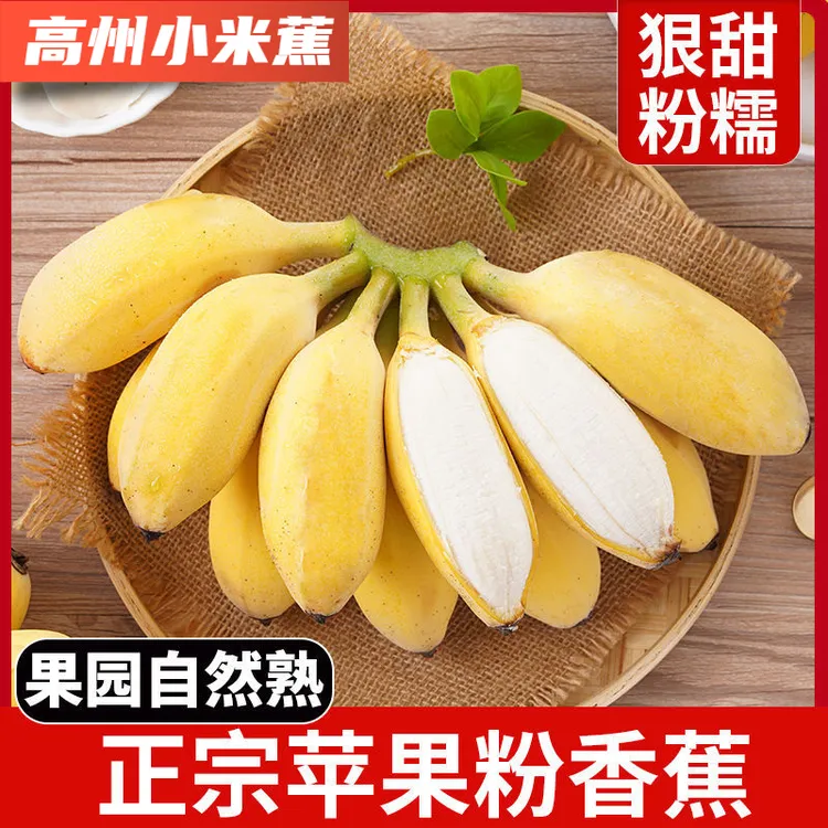 【高州生态粉蕉】不打药不套袋甜糯自然成熟粉蕉甜香特产