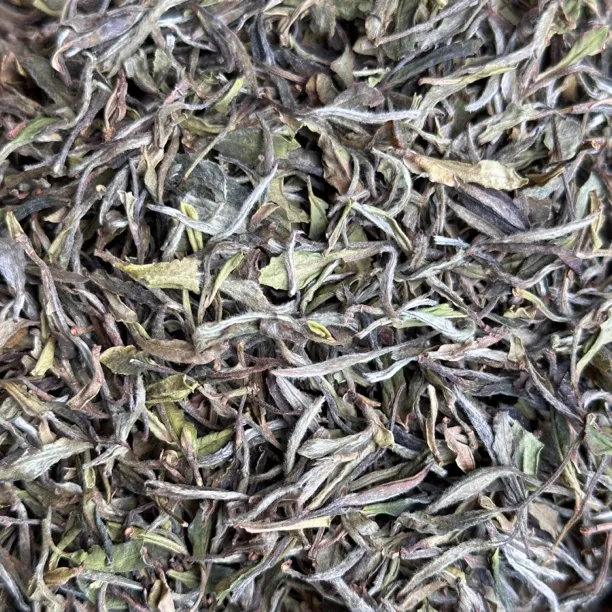 2022年荒野小白茶菜茶贡眉王独特品种香清甜雅致福鼎白茶