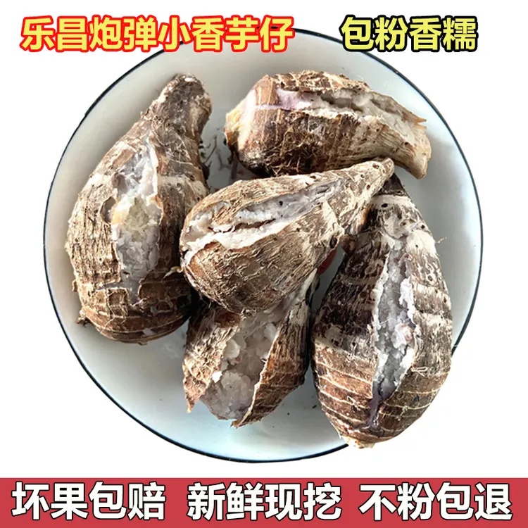 韶关乐昌张溪香芋炮弹芋头新鲜小芋头仔粉糯毛芋广东槟榔芋1-10斤