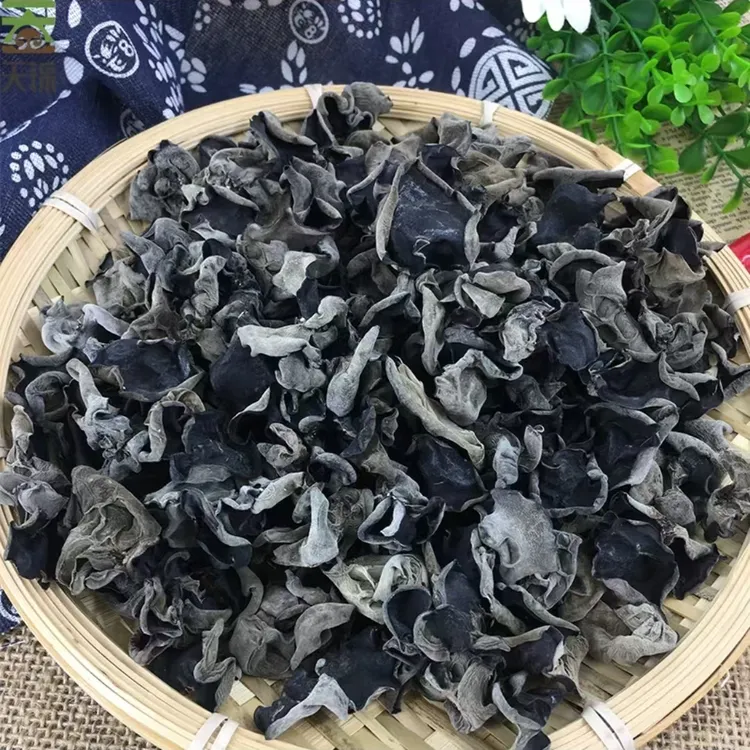 舟曲黑木耳羊肚菌干货自产自销自然晾晒无根肉厚高泡发口感爽脆