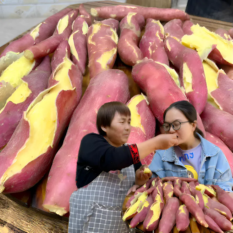 【京东快递】陕西沙地板栗红薯 5斤现挖现发 粉糯香甜 长条土地发货