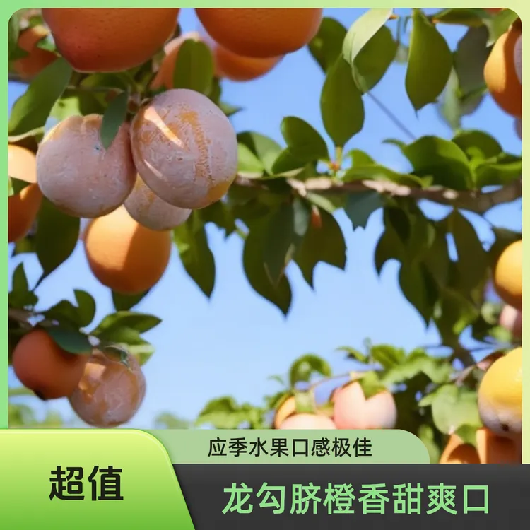 龙勾农赣南脐橙龙勾脐橙石灰橙皮薄汁多香甜爽口江西脐橙应季水果