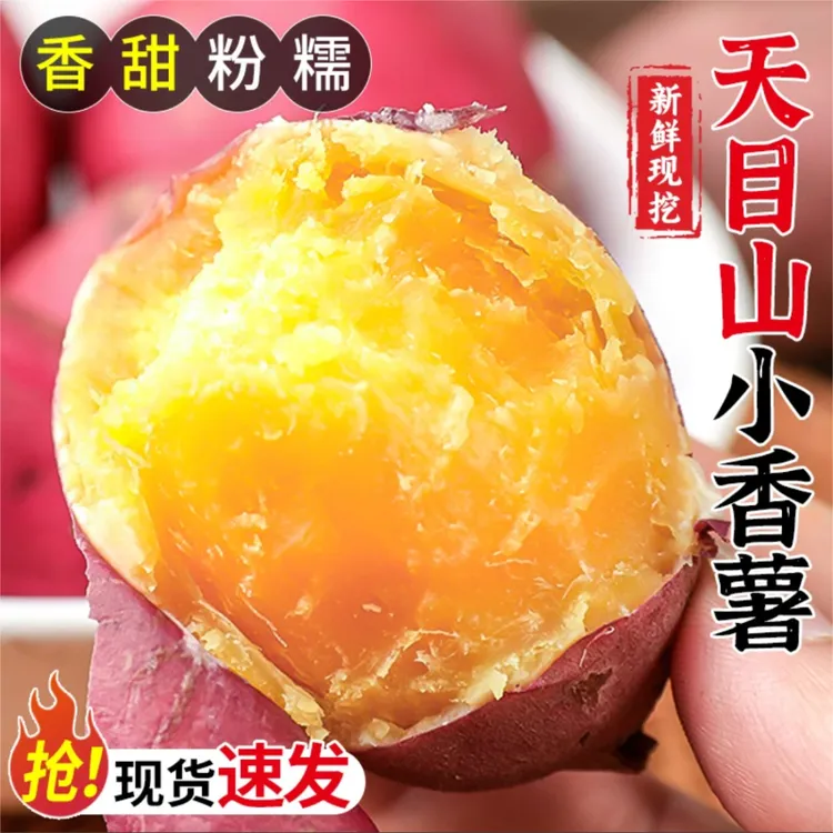 新鲜板栗红薯5斤天目山小香薯鸡蛋薯番薯自种沙地红薯地瓜软糯