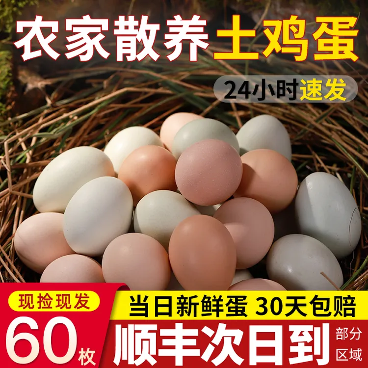 【小熊专属】新鲜土鸡蛋农家散养健康营养早餐新鲜现捡60枚顺丰包邮