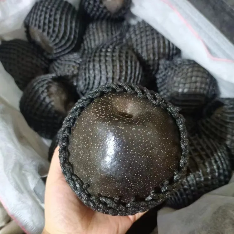 【顺丰/京东】藏乌梨黑梨新鲜皮薄肉厚纯甜无酸脆甜黑梨子孕妇水果