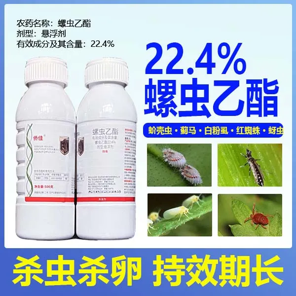螺虫乙酯介壳虫蚜虫蓟马粉虱红蜘蛛百虫清小飞虫杀虫剂