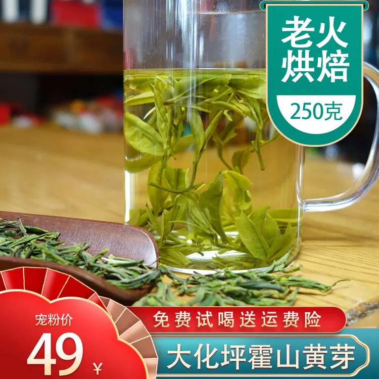 随道2025新茶霍山大化坪黄芽250克袋装黄芽茶雨前黄茶正宗原产地
