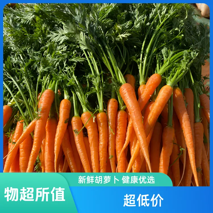 新鲜带叶子手指胡萝卜迷你胡萝卜叶子绿色能吃1斤包邮红萝卜