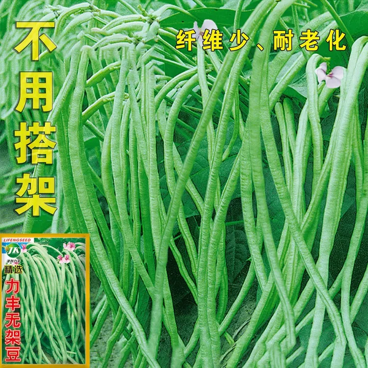 无架长豆角种子不撘架豆角种籽豇豆春秋播盆栽田园易种家庭菜种子