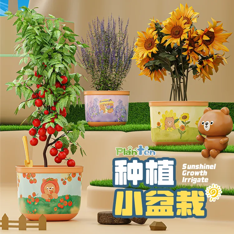 春天幼儿园小学种植小盆栽宝宝种植亲子蔬菜阳光花房玩具益智套装