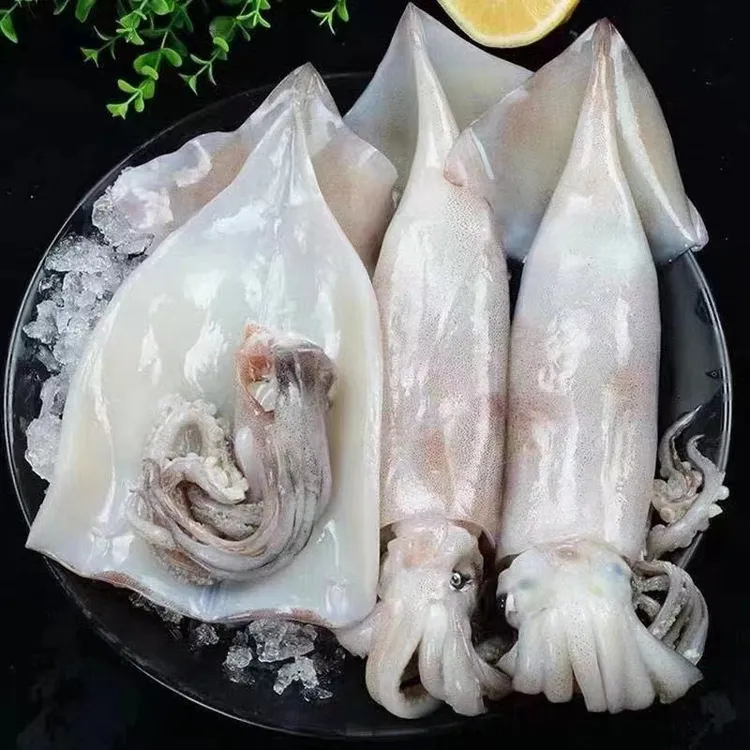 新鲜去皮大鱿鱼 5斤/份 每份3-5条去皮去内脏免清洗 单条包装