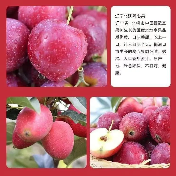 东北特产鸡心果锦绣海棠果糖心小苹果酸甜可口多汁